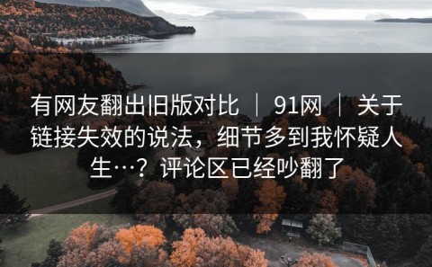 有网友翻出旧版对比 ｜ 91网 ｜ 关于链接失效的说法，细节多到我怀疑人生…？评论区已经吵翻了
